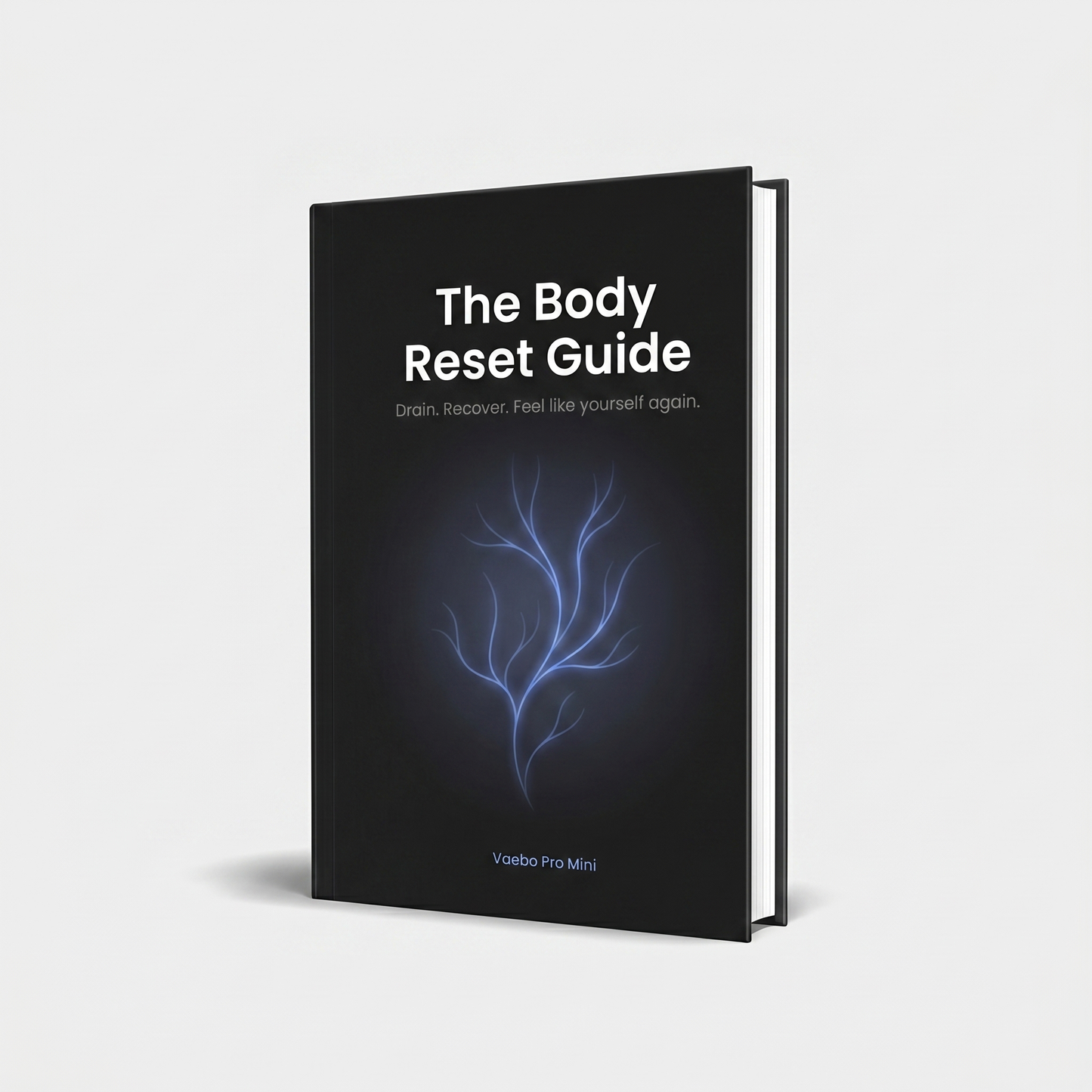 The Body Reset Guide
