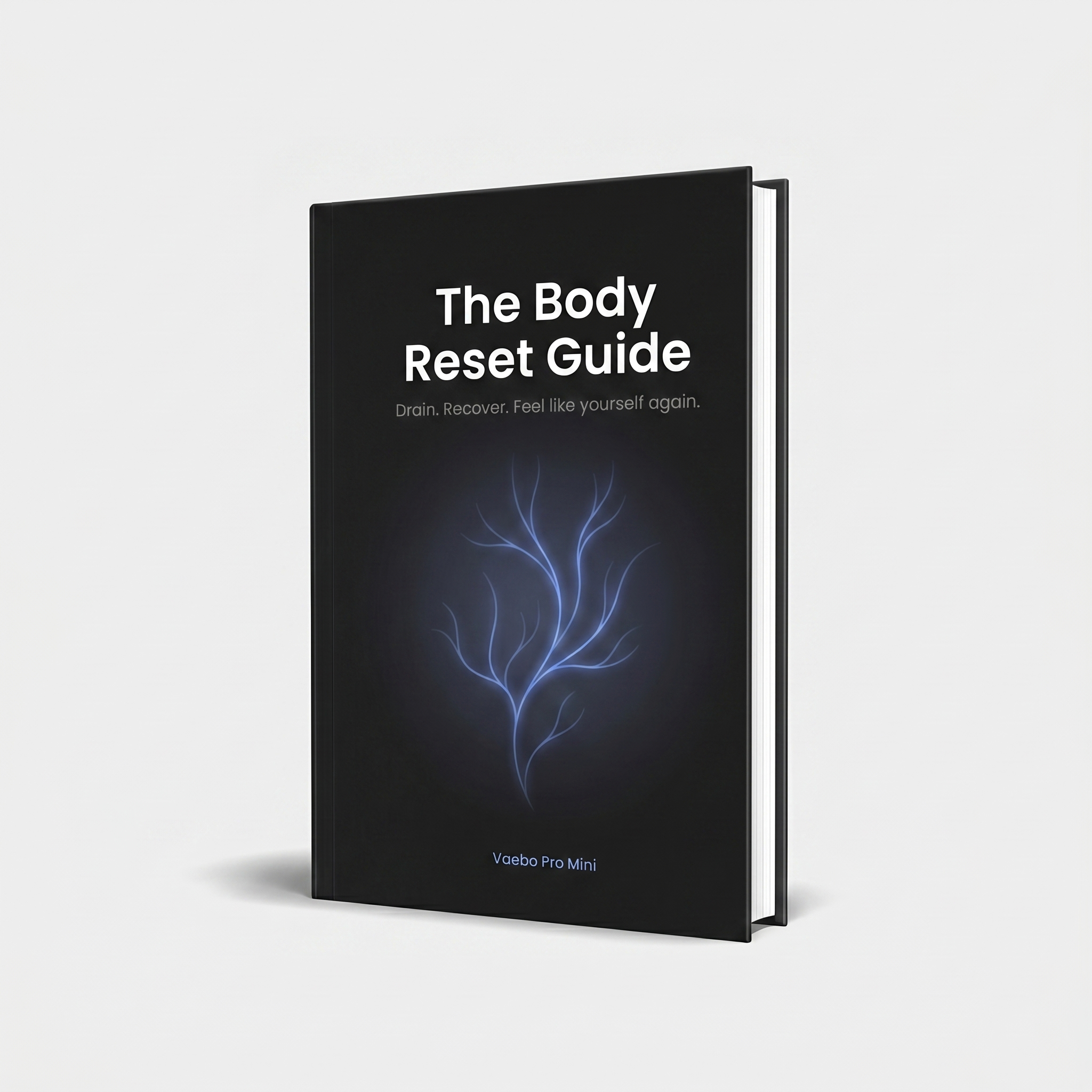 The Body Reset Guide